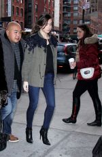HAILEE STEINFELD Leaves 