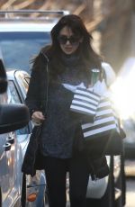 HILARIA BALDWIN Arrives at Her Home in New York 12/19/2016