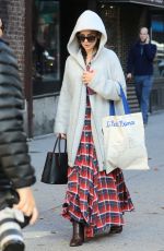 HILARIA BALDWIN Out Shopping in New York 12/03/2016