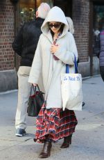HILARIA BALDWIN Out Shopping in New York 12/03/2016