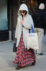 HILARIA BALDWIN Out Shopping in New York 12/03/2016