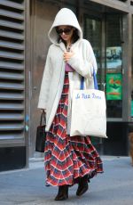 HILARIA BALDWIN Out Shopping in New York 12/03/2016