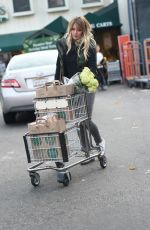 HILARY DUFF Shopping at Whole Foods in Los Angeles 12/11/2016