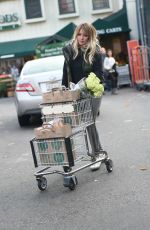 HILARY DUFF Shopping at Whole Foods in Los Angeles 12/11/2016