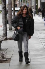 JANICE DICKINSON Out Shopping in Beverly Hills 12/22/2016