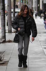 JANICE DICKINSON Out Shopping in Beverly Hills 12/22/2016