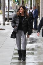 JANICE DICKINSON Out Shopping in Beverly Hills 12/22/2016