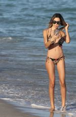 JASMINE TOSH in Bikini at a Beach in Miami 12/18/2016