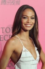 JOAN SMALLS at 2016 Victoria