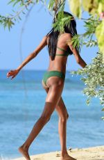 JOURDAN DUNN in Bikini at a Beach in Barbados 12/24/2016