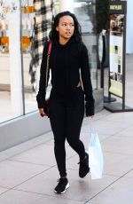 KARREUCHE TRAN Out for Christmas Shopping in Los Angeles 12/19/2016