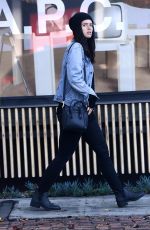 KATHERINE SCHWARZENEGGER Out Shopping in Los Angeles 12/16/2016
