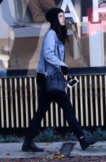 KATHERINE SCHWARZENEGGER Out Shopping in Los Angeles 12/16/2016