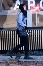KATHERINE SCHWARZENEGGER Out Shopping in Los Angeles 12/16/2016