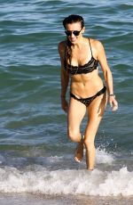 KATIE CASSIDY in Bikini at a Beach in Mami 12/13/2016