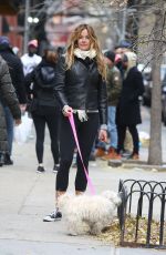 KELLY BENSIMON Walks Her Dog Out in New York 12/10/2016