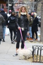 KELLY BENSIMON Walks Her Dog Out in New York 12/10/2016