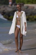 LADY VICTORIA HERVEY in Bikini in Barbados 12/29/2016