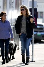 LAURA DERN Out and Abut in Los Angeles 12/20/2016