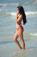 LISA OPIE in Bikini at a Beach in Miami 12/19/2016