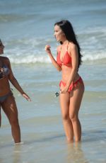 LISA OPIE in Bikini at a Beach in Miami 12/19/2016