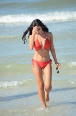 LISA OPIE in Bikini at a Beach in Miami 12/19/2016