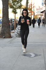 LUCY HALE Out Shopping in Los Angeles 12/09/2016