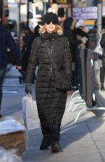 MEG RYAN Out Shopping in New York 12/20/2016