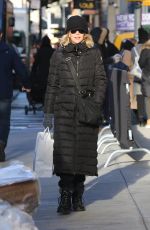 MEG RYAN Out Shopping in New York 12/20/2016