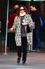 MINNIE DRIVER Out in Disneyland in Anaheim 12/23/2016