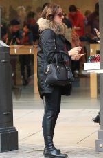 MOLLY SHANON Out for Shopping in Los Angeles 12/22/2016