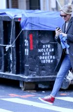NAOMI WATTS Walks Her Dog Out in New York 12/25/2016