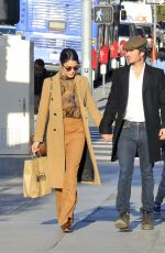 NIKKI REED and Ian Somerhalder Out for Shopping in Santa Monica 12/28/2016