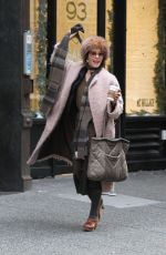 PARKER POSEY Out and About in New York 12/27/2016