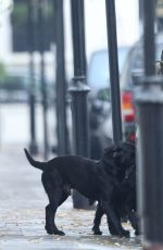 PIPPA MIDLETON Walks Her Dog Out in London 12/13/2016