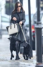 PIPPA MIDLETON Walks Her Dog Out in London 12/13/2016
