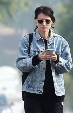 ROONEY MARA Out and About in Los Feliz 12/13/2016