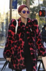 RUBY ROSE Out for Shoping in Los Angeles 12/17/2016