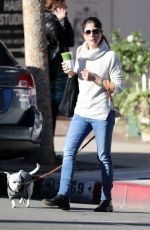 SELMA BLAIR Walks Her Dog Out in Sherman Oaks 11/30/2016