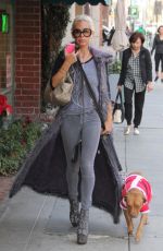 SHAUNA SAND Walks Her Dog Out in Beverly Hills 12/08/2016