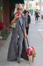 SHAUNA SAND Walks Her Dog Out in Beverly Hills 12/08/2016