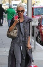 SHAUNA SAND Walks Her Dog Out in Beverly Hills 12/08/2016