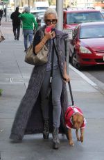 SHAUNA SAND Walks Her Dog Out in Beverly Hills 12/08/2016