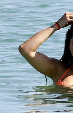 SHERA KERIENSKI in Bikini at a Beach in Miami 12/14/2016