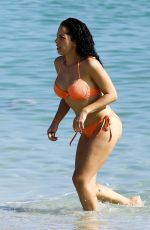 SHERA KERIENSKI in Bikini at a Beach in Miami 12/14/2016