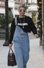 SOPHIA RICHIE Out for Shopping in Beverly Hills 12/14/2016