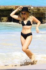 TALLIA STORM in Black Bikini at a Beach in Barbados 12/26/2016