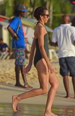 TERRI SEYMOUR in Swimsuit on the Beach in Barbados 12/16/2016