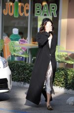 VANESSA HUDGENS Out and About in Los Angeles 12/14/2016