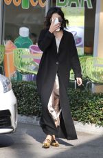 VANESSA HUDGENS Out and About in Los Angeles 12/14/2016